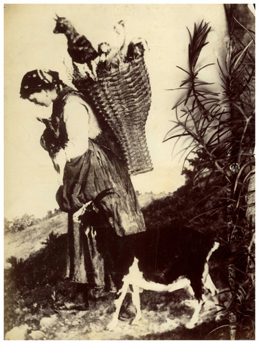 Nature morte fond peint - morte, et