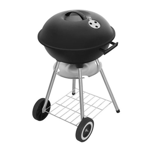 Barbecue charbon bois - charbon,