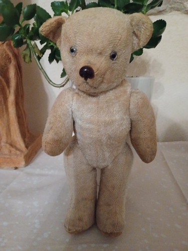 Ours steiff ancien - ours,