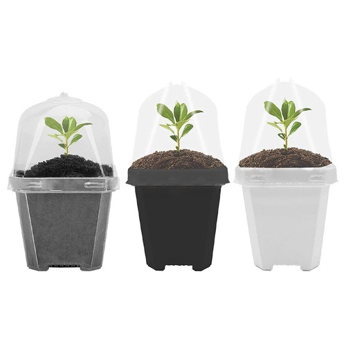 Jardinage maison plante - jardinage,