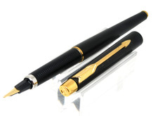 MAGNIFIQUE STYLO PLUME DE
