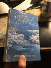 DAVID GUTERSON la neige