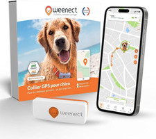 Chien mini traceur gps - chien,