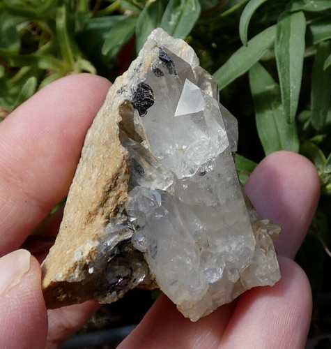 Hématite sur quartz 5x4cm - 5x4cm, les