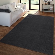 Salon Tapis Poils Ras Design Uni Moderne Et Intemporel