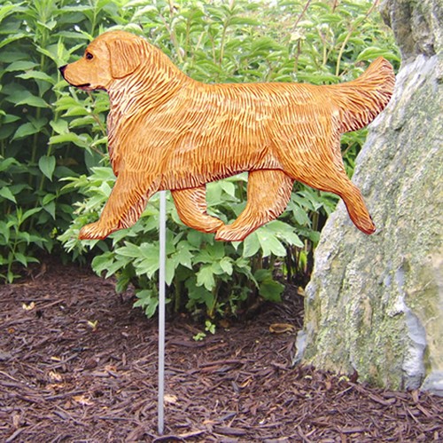 Golden retriever extérieur - golden,