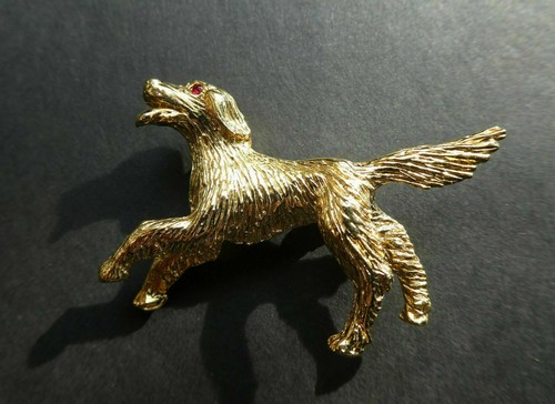 Broche chien setter yeux - chien,