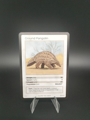 Ground pangolin life - ground,