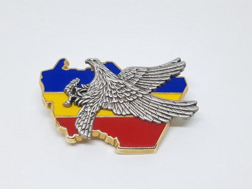 Pucelle insigne militaire - insigne,