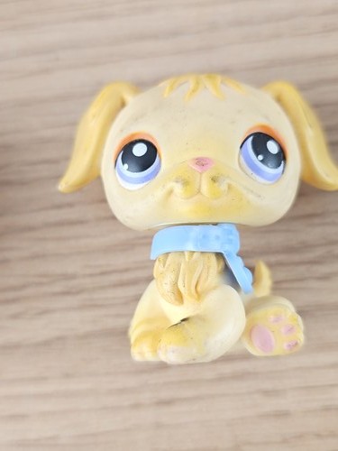 Littlest petshop lps - my,