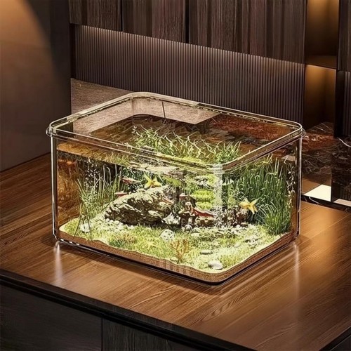 Aquarium bureau pet - aquarium,