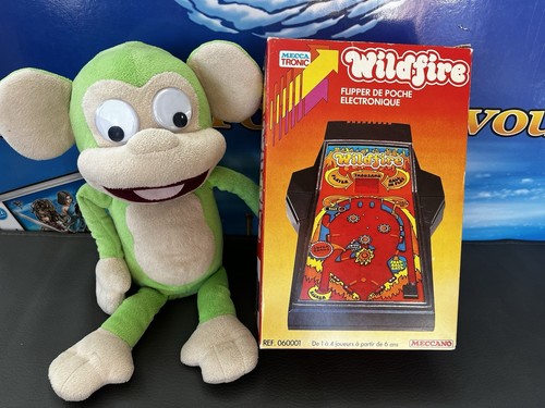 Jeu lcd game watch wildfire - game,