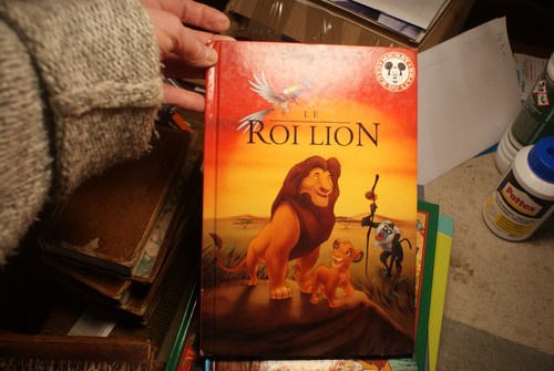 Roi lion livre disney - roi,