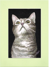 peinture aquarelle originale