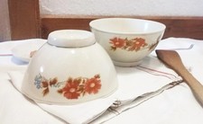 Lot de 2 bols anciens