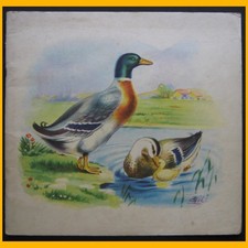 ALBUM D'ANIMAUX Illustrations Gil & G. Galbiati milieu XXe siècle