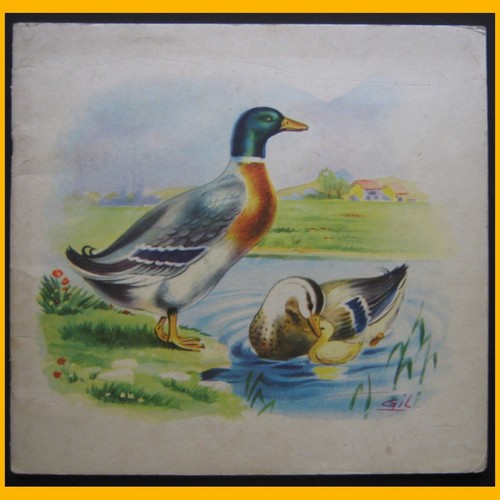 Album animaux illustrations - album, d'animaux