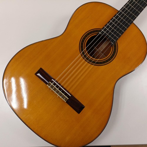 guitare suzuki