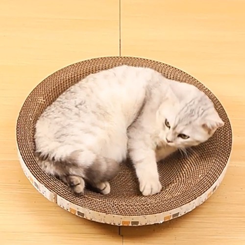 Lit griffoir chat carton - lit,