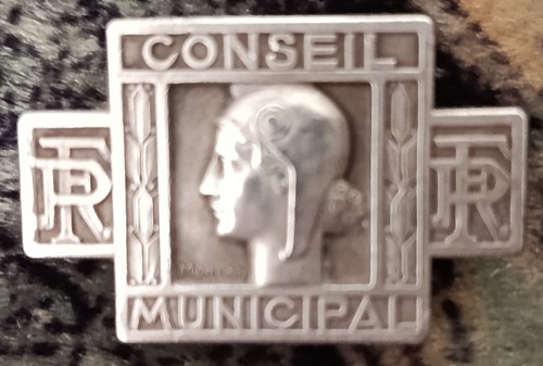 Conseil municipal boutonnière - municipal,