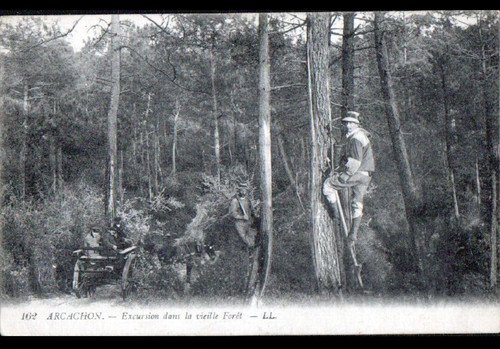 Arcachon attelage animé - arcachon,