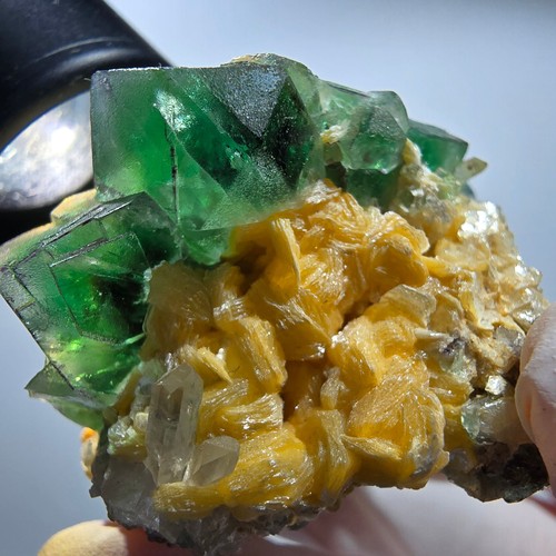 Fluorite fantôme tourmaline - fluorite, fantôme,
