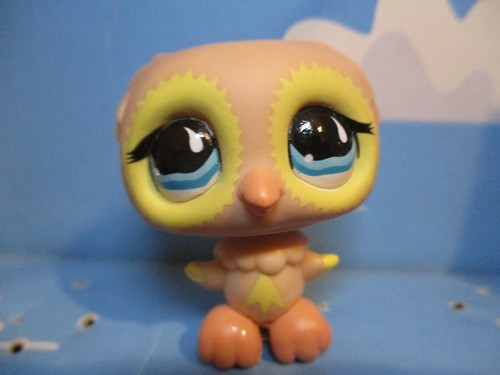 Petshop chouette hibou - chouette,