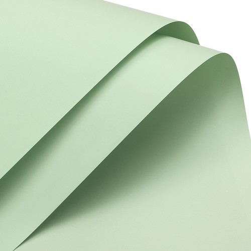 10pcs papier fleuriste - papier,