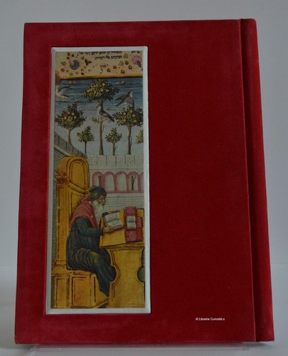 Torah and life - and, in