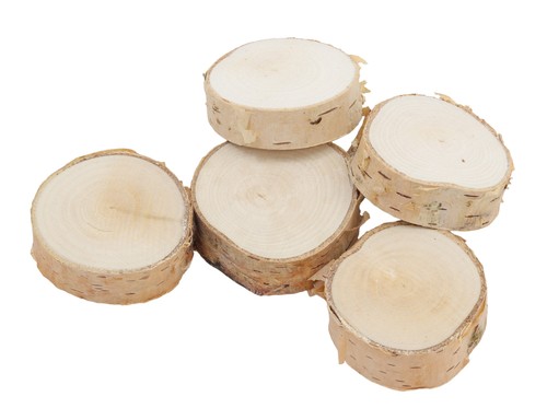 Tranche bois bouleau - , 4–5cm