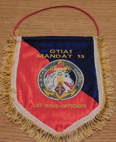 Drapeau fanion militaire - drapeau,
