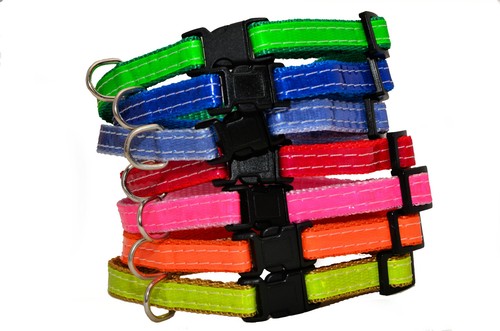 Collier chien pour chiot en - chien,