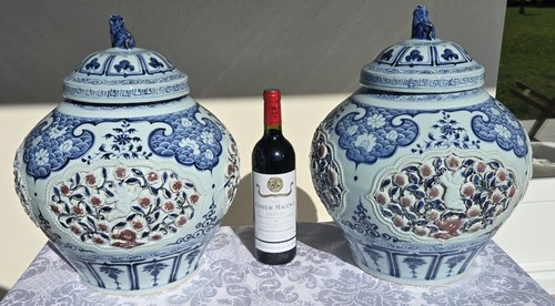 Paire de grands vases - ⭐️,