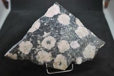 Diorite orbiculaire rose - diorite,