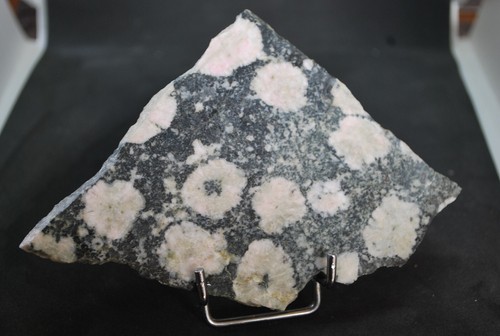 Diorite orbiculaire rose - diorite,