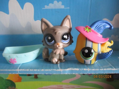 Petshop duo chat persan - petshop,