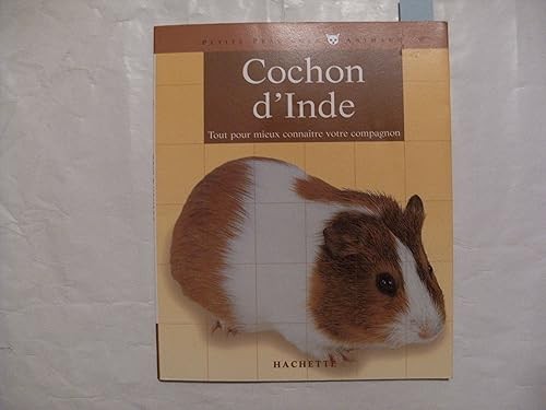 Cochon inde bien le - le, d'inde: