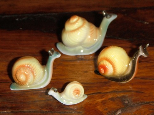 Escargot famille 4 - escargot,