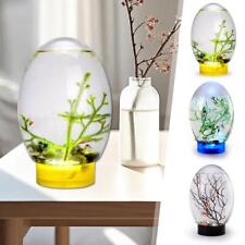 Mini Small Desktop Aquarium Glass Fish Tank Eco Aquarium Amphibious'`,.;'/