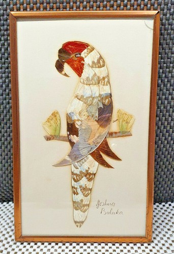 Ancien cadre taxidermie - ancien,
