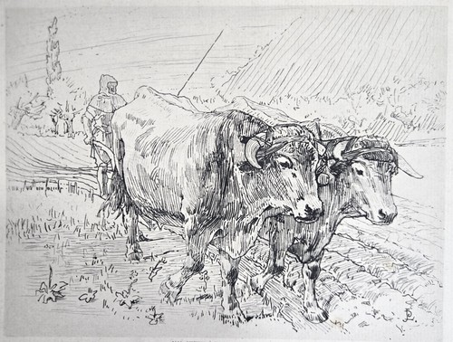 Gravure 1897 jean - gravure,