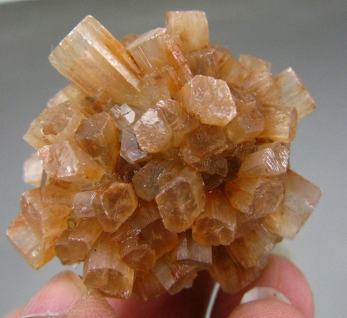 Haut aragonite 158 - :, (31