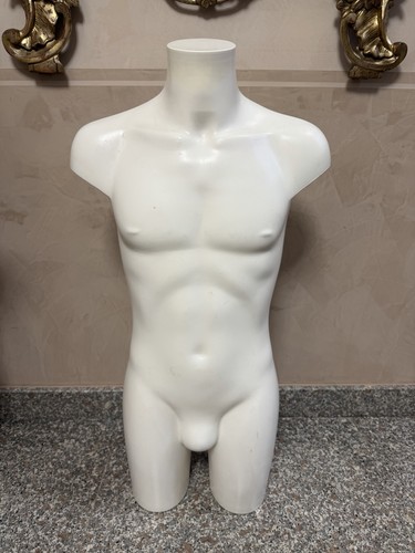 Mannequin demi buste homme