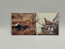 Nestlé MERVEILLES DU MONDE