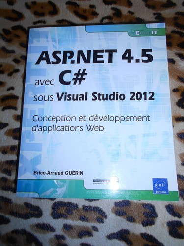 Guerin brice arnaud - brice-arnaud, asp.net