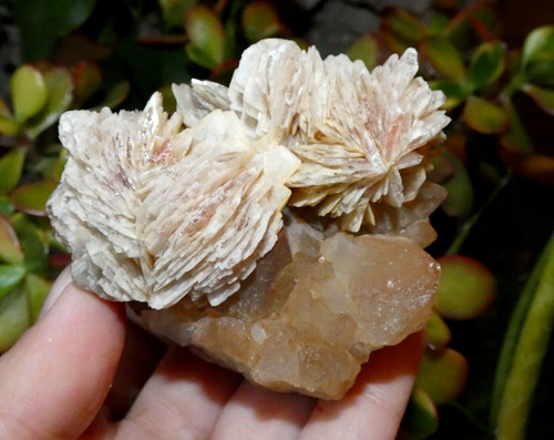 Baryte quartz lantignié - baryte,