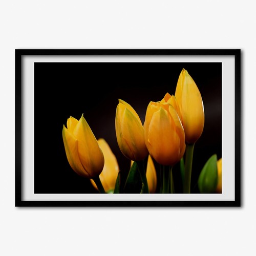 Tulup photo 70x50cm - 70x50cm, cadre