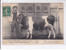 PONTIVY: vente de vaches