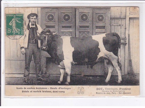 Pontivy vente vaches - vente,