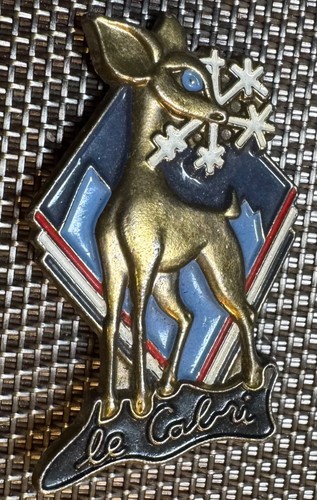 Médaille insigne ski le - insigne, de